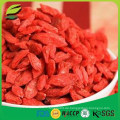 Import Goji Beeren getrocknet